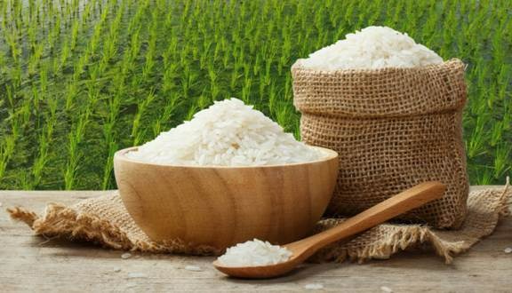 Các loại gạo hữu cơ phổ biến hiện nay