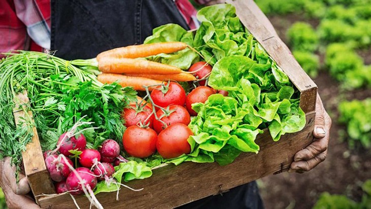 Gợi ý thực đơn giảm cân 1 tuần với thực phẩm hữu cơ