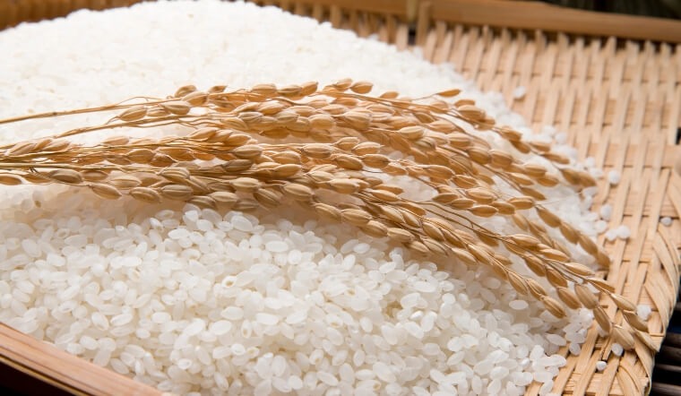 Sử dụng gạo hữu cơ như thế nào là hiệu quả?