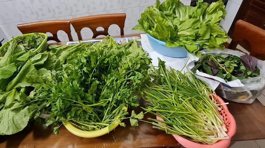 Dấu hiệu khi sơ chế giúp phát hiện rau không an toàn
